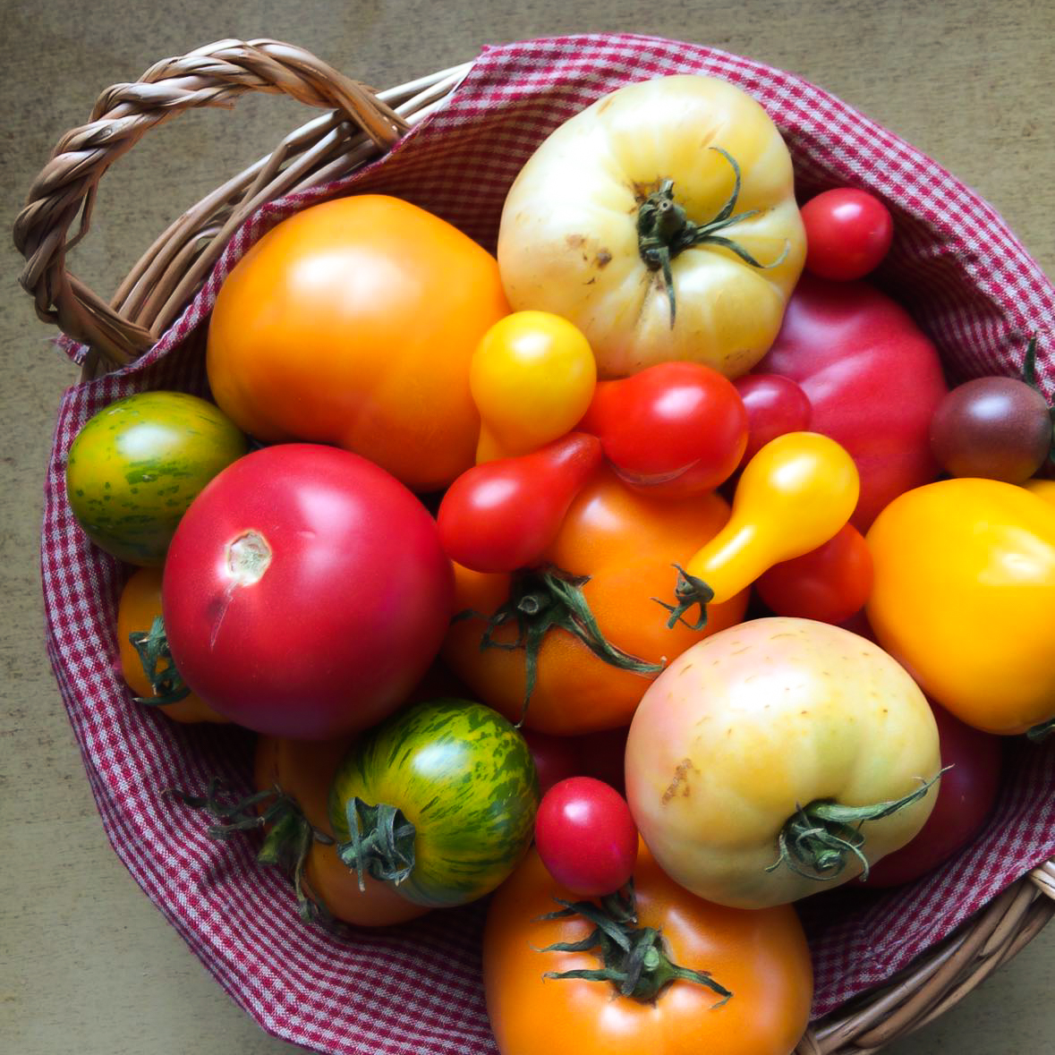 Ulubione warzywo Polaków – pomidor