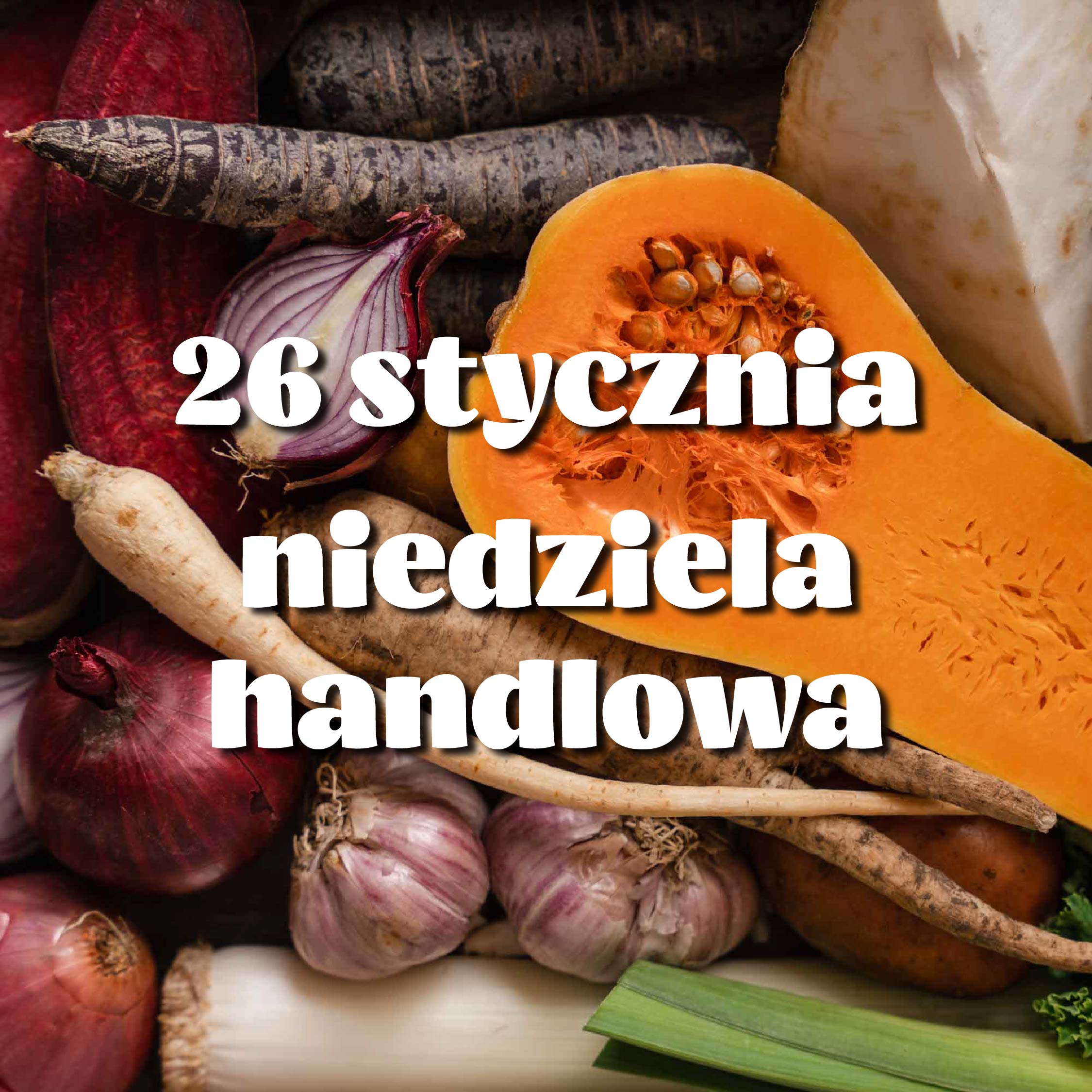 Wystawcy obecni w niedzielę 26 stycznia